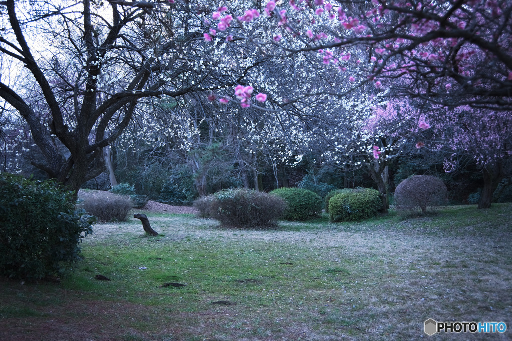 滝の城址公園
