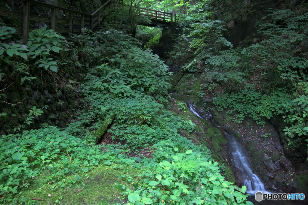 白岩滝へ続く遊歩道