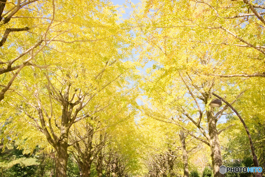 輝く季節へ