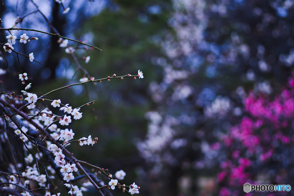 上を向いていたい