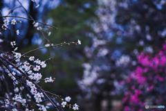 上を向いていたい