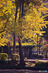 薬師池公園
