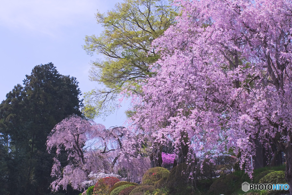 宗泉寺