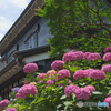 郷土の森博物館