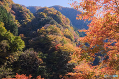 金蔵落としの渓流