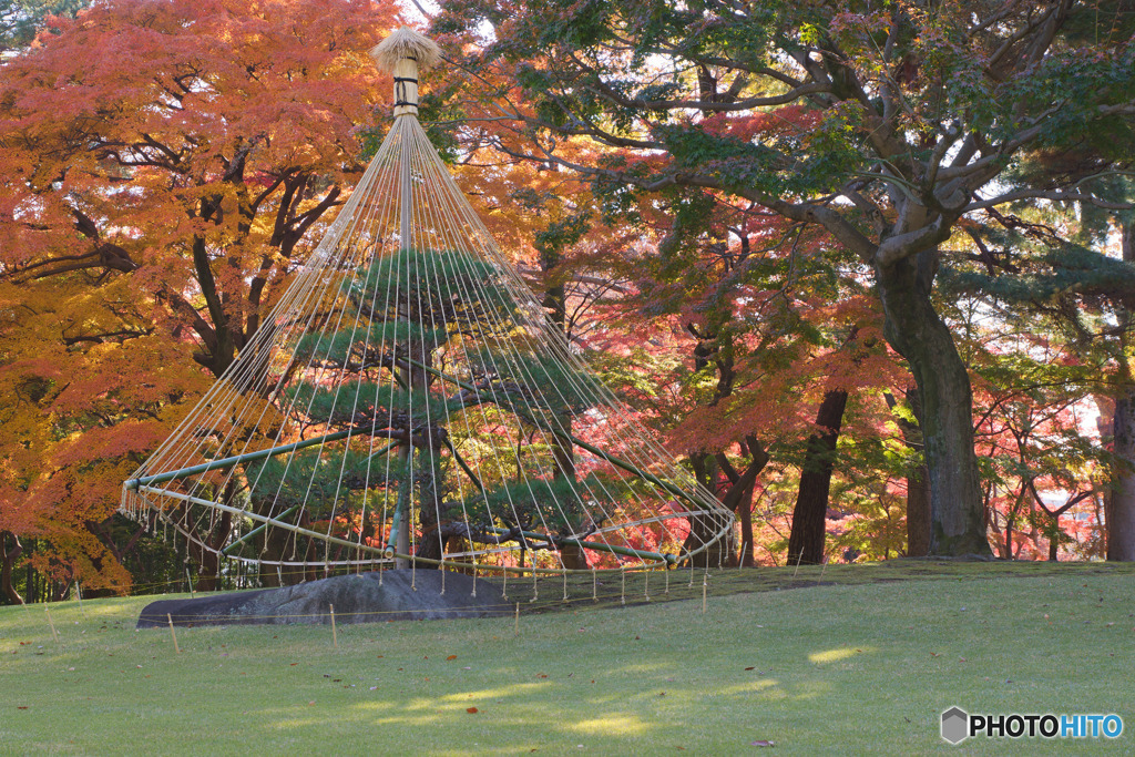 殿ヶ谷戸庭園