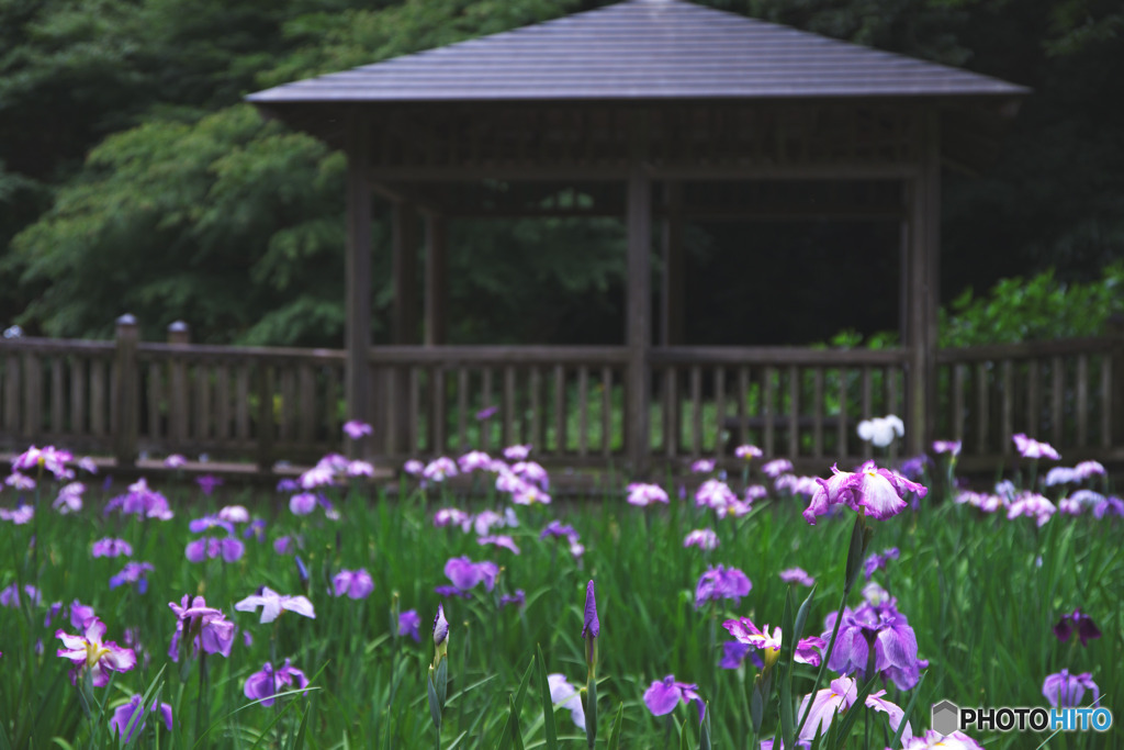 生田緑地