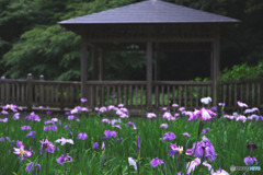 生田緑地