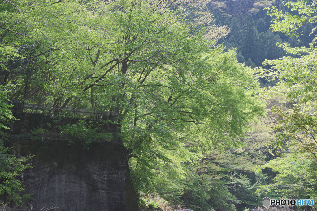 檜原村、大沢橋