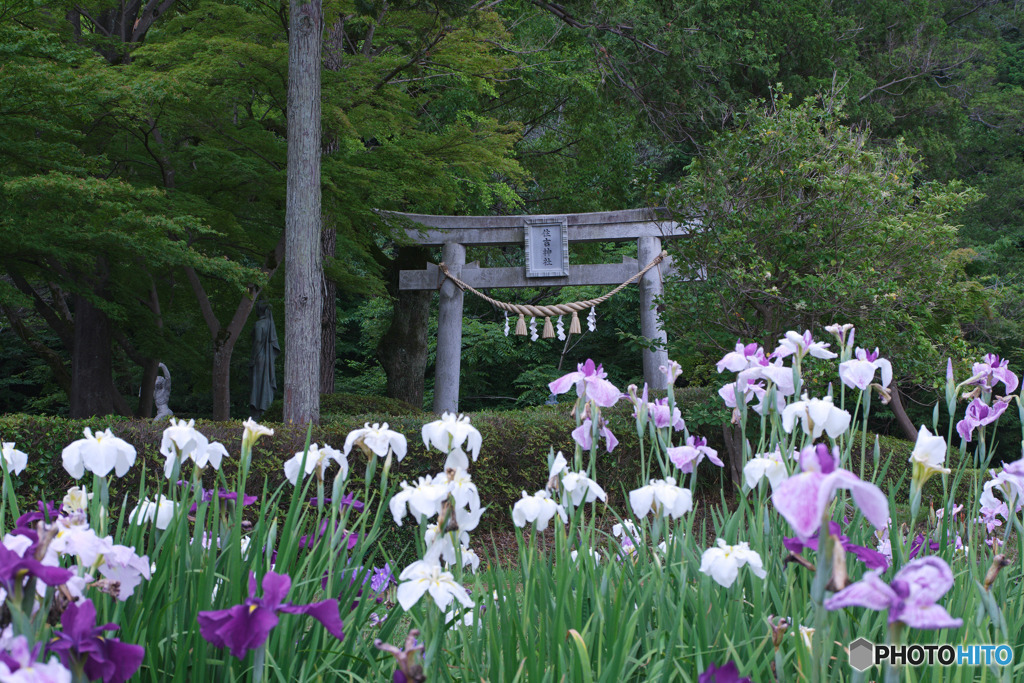 片倉城跡公園
