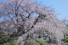 東郷寺