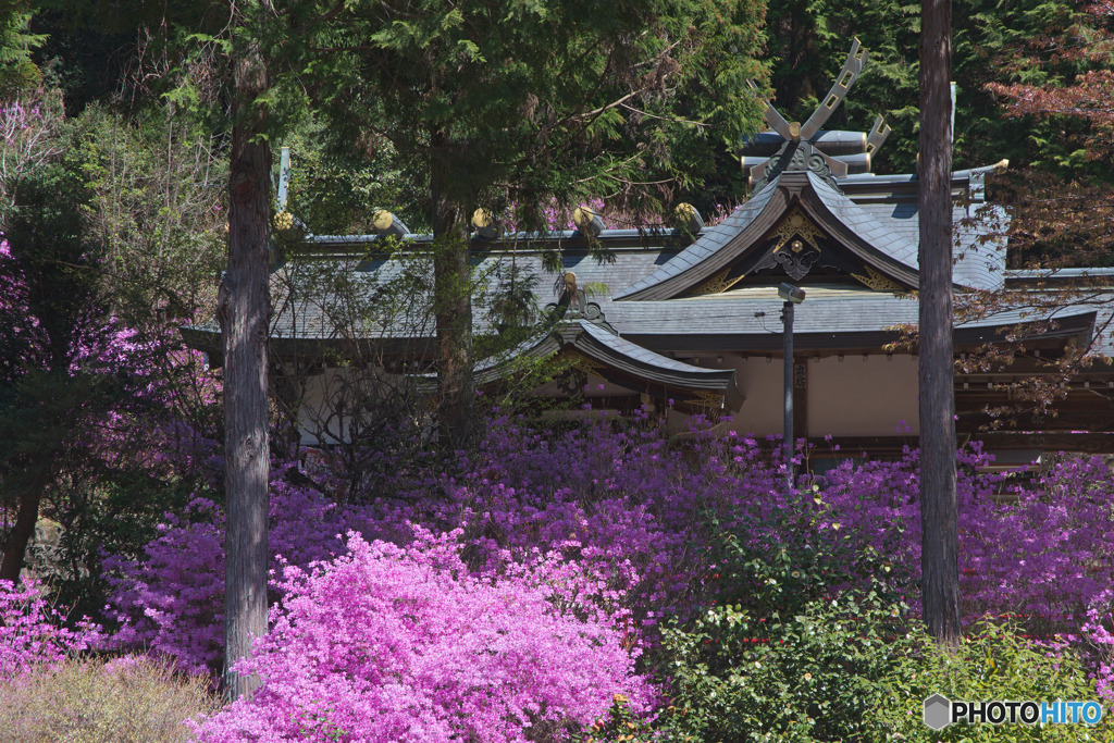 今熊神社