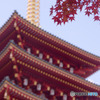 高幡不動と紅葉