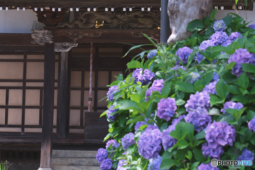 東福寺