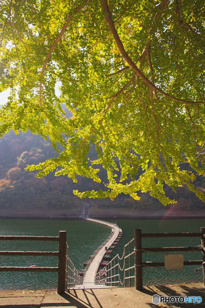 留浦浮橋