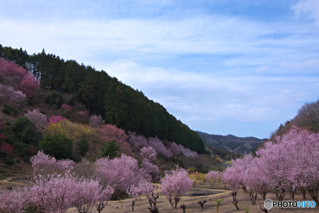小川町、桃源郷