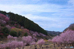 小川町、桃源郷