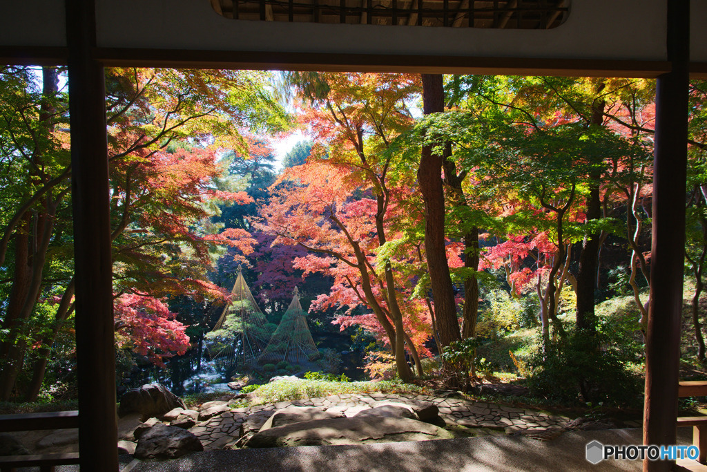 殿ヶ谷戸庭園