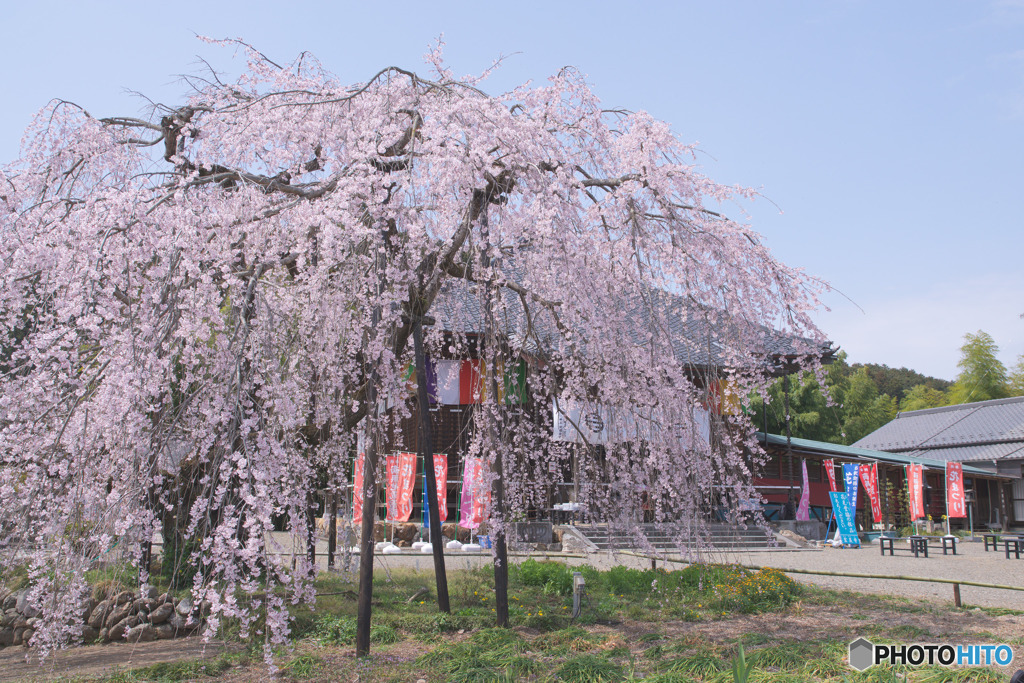 霊巌寺