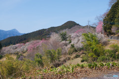 顔振峠
