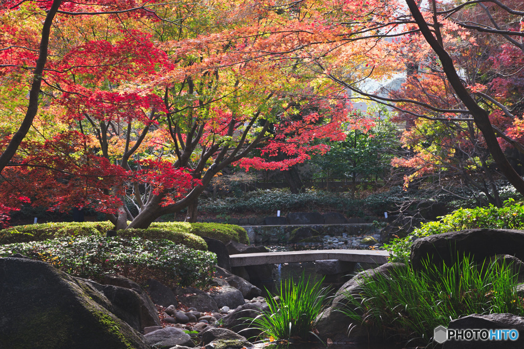 大田黒公園