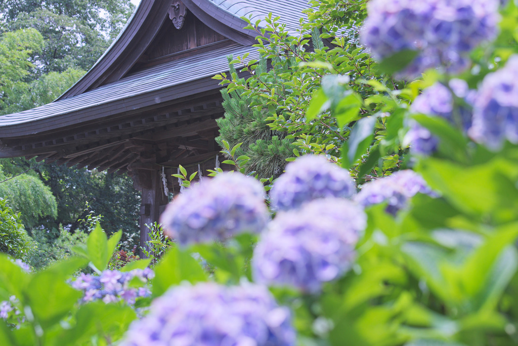 性蓮寺