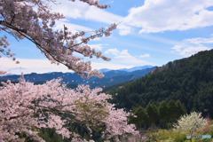 奥武蔵