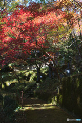 東郷公園