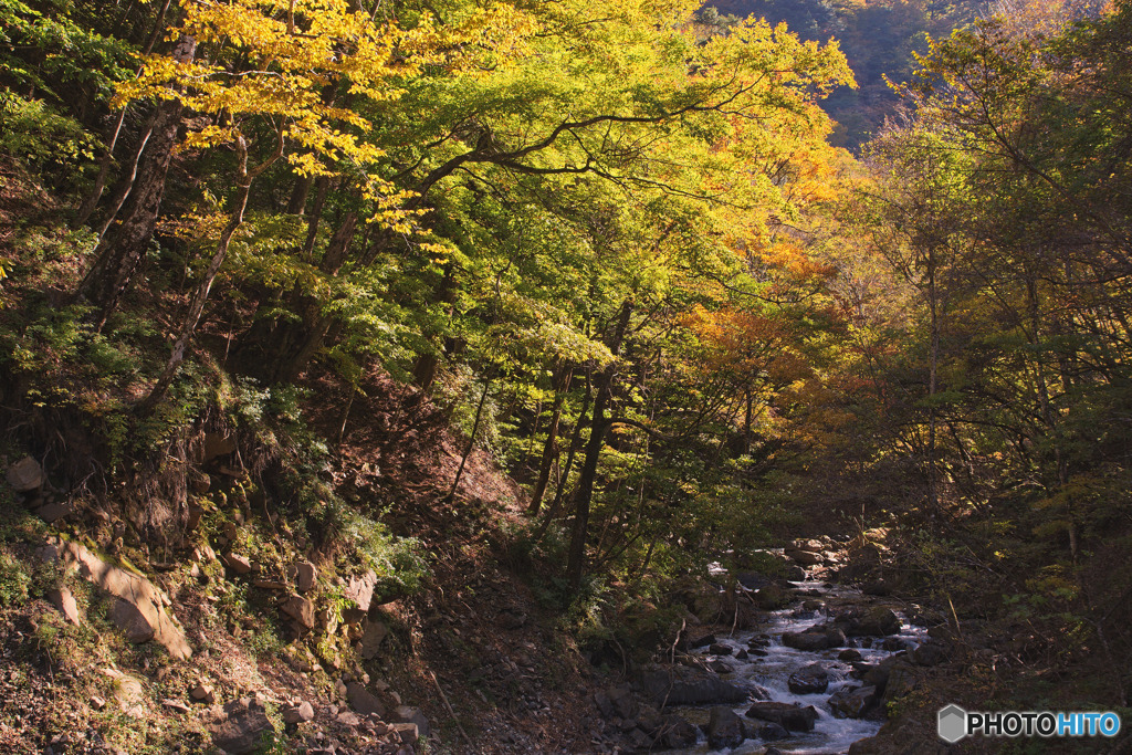 天狗棚橋