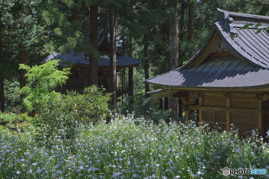 龍穏寺