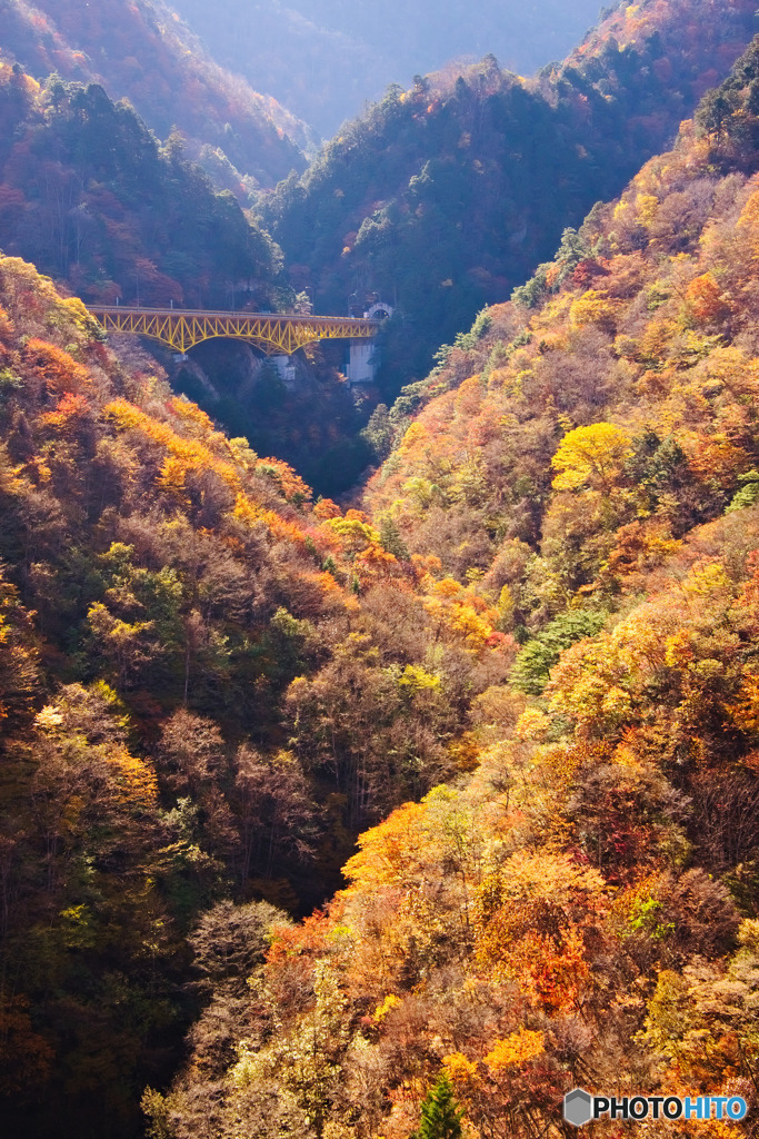 豆焼橋から雁坂大橋