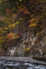 丹波山村水源公園