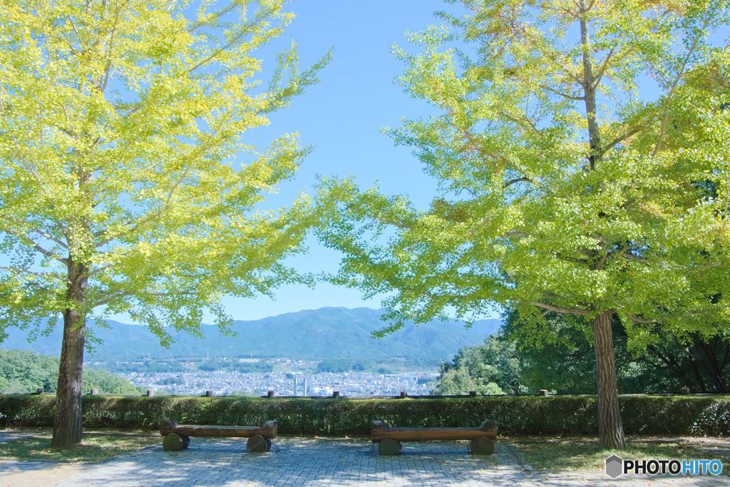 秩父ミューズパークの紅葉