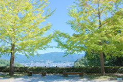 秩父ミューズパークの紅葉