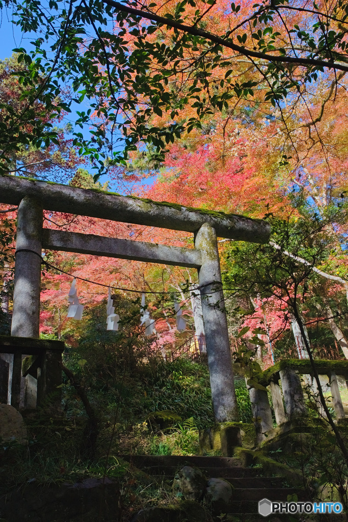 東郷公園