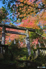 東郷公園