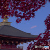 momiji - もみ寺