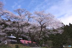 新福寺