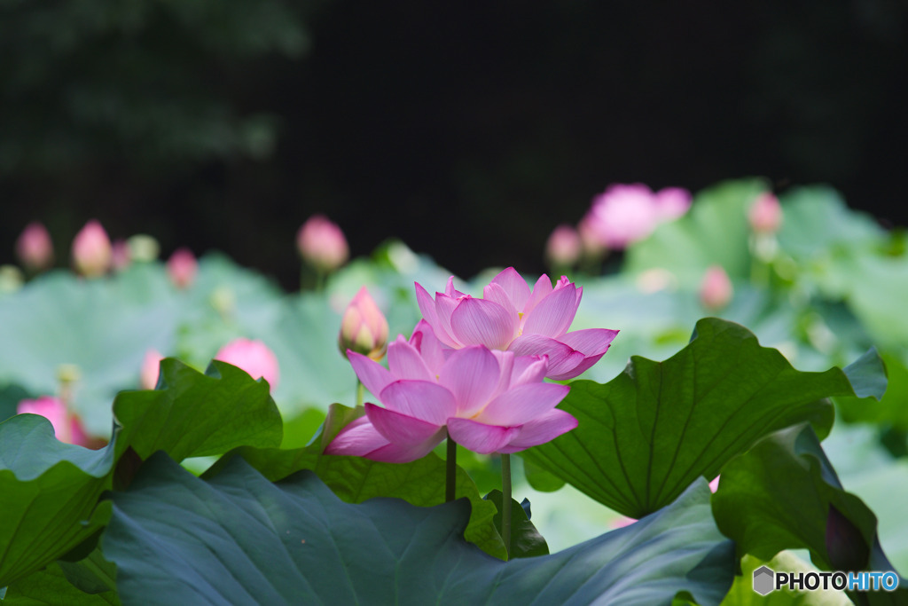 滝の城址公園