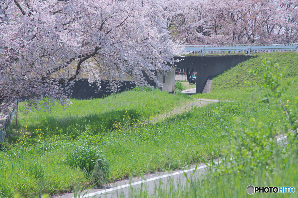 小ケ谷公園