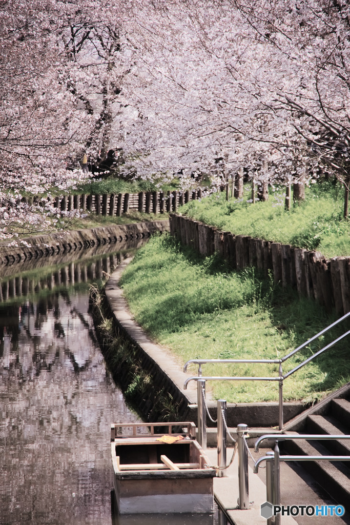 新河岸川