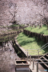 新河岸川