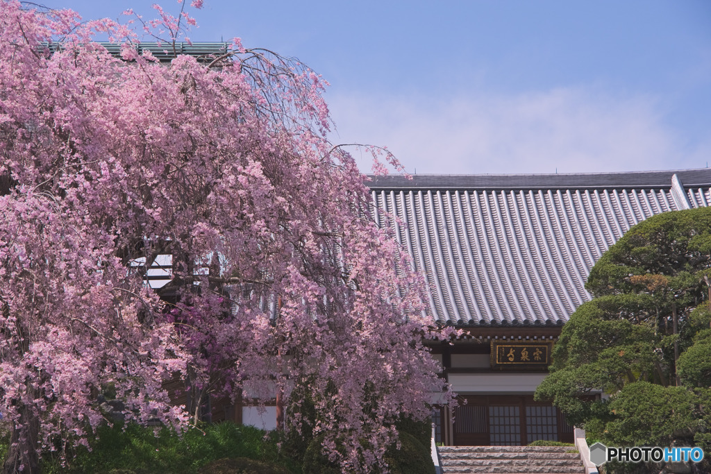 宗泉寺