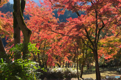 ブリヂストン奥多摩園
