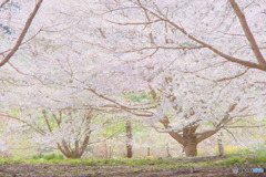 夢の中へ