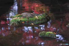 大田黒公園