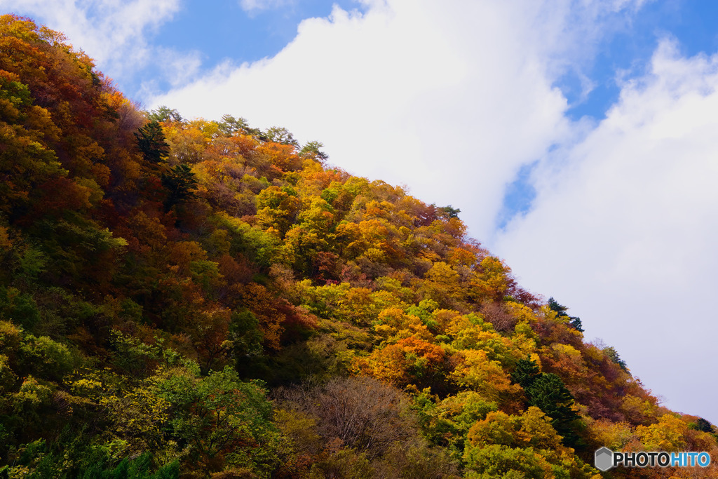 谷川岳PAの紅葉