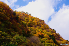 谷川岳PAの紅葉