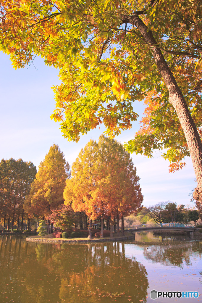 上尾丸山公園