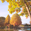 上尾丸山公園